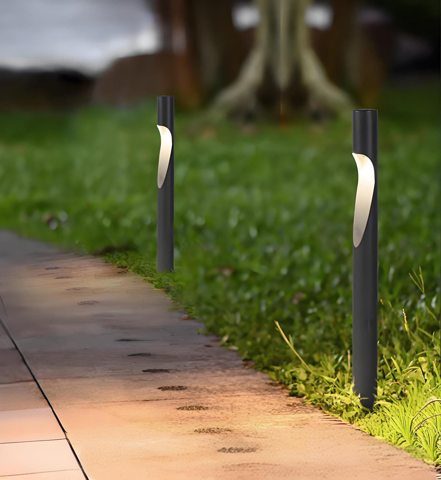 Outdoor Lawn Lights